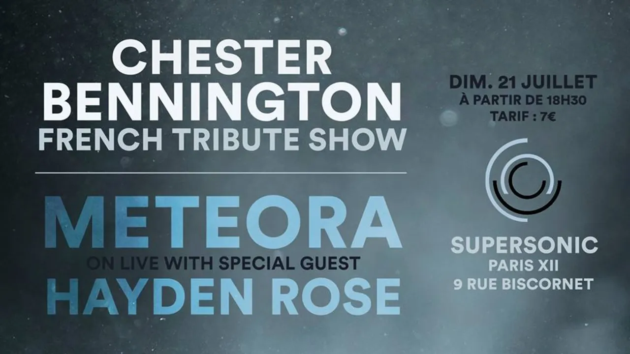 Chester Bennington French Tribute Show