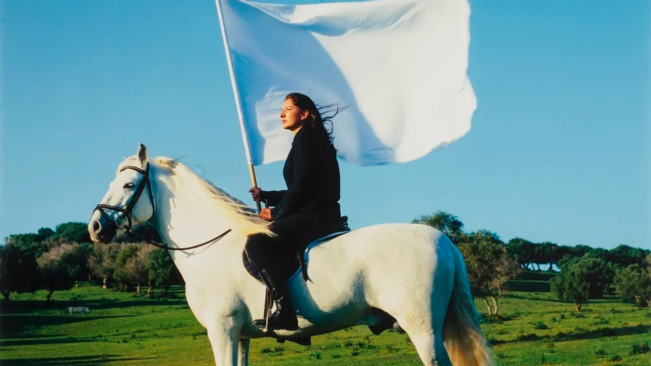 Napoléon ? Encore ! - De Marina Abramović à Yan Pei-Ming