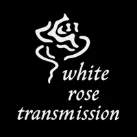 White Rose Transmission