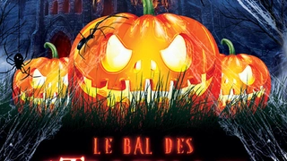 Le Bal Des Citrouilles