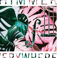 Shimmer