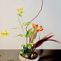 Ikebanart