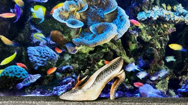 Christian Louboutin, l’exposition