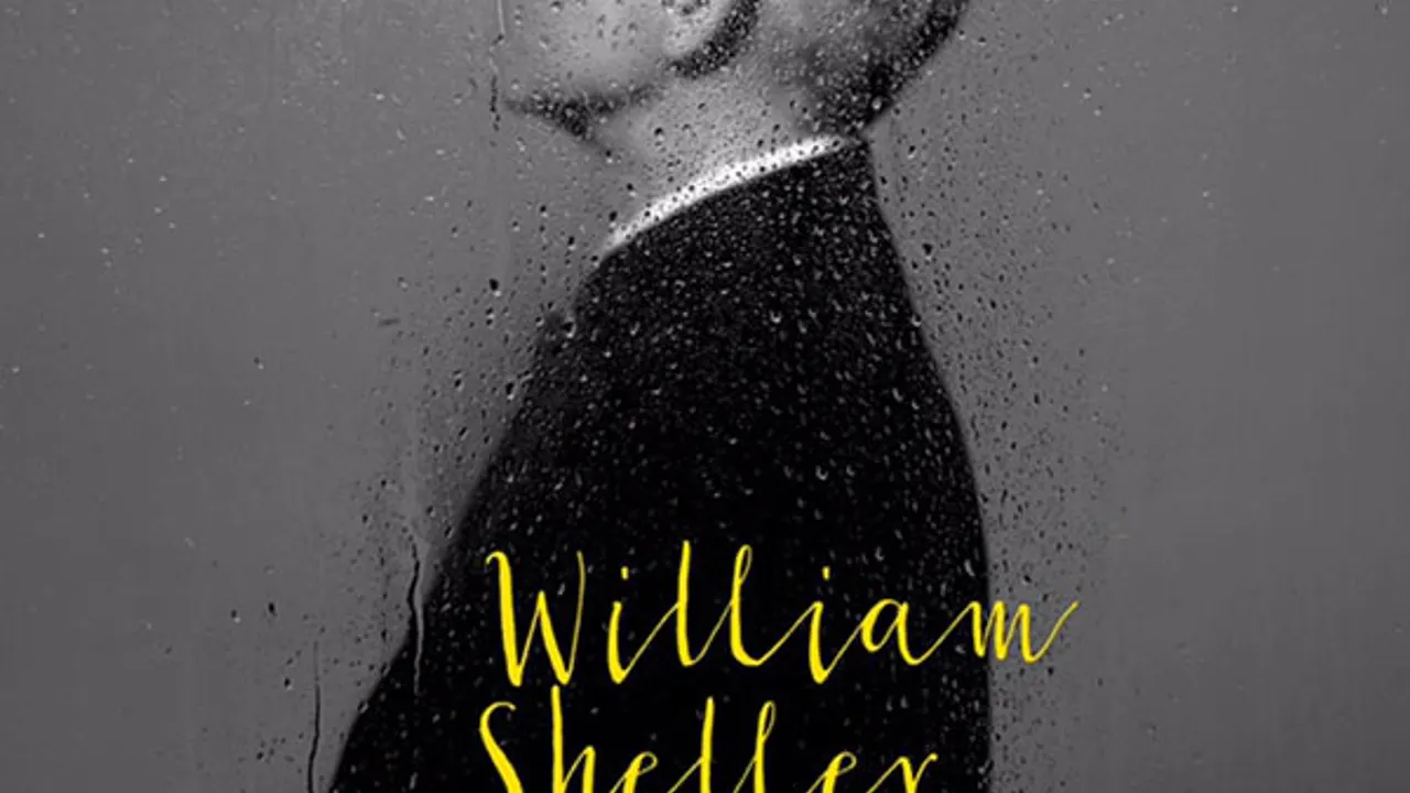 William Sheller en concert
