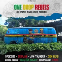 Spirit Revolution