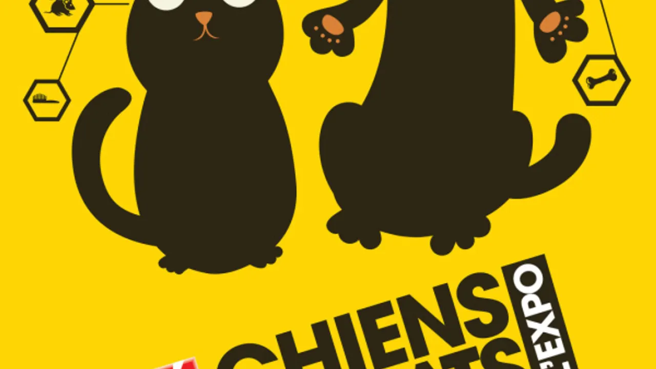 Chiens & Chats L'expo Vous En Ressortirez Moins Bête