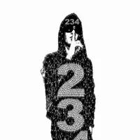 234