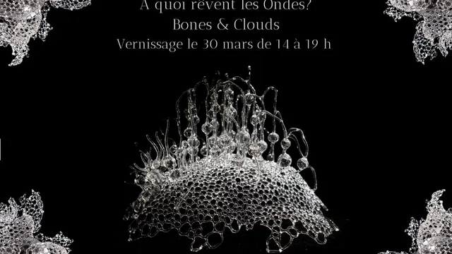 À quoi rêvent les ondes? Bones & Clouds