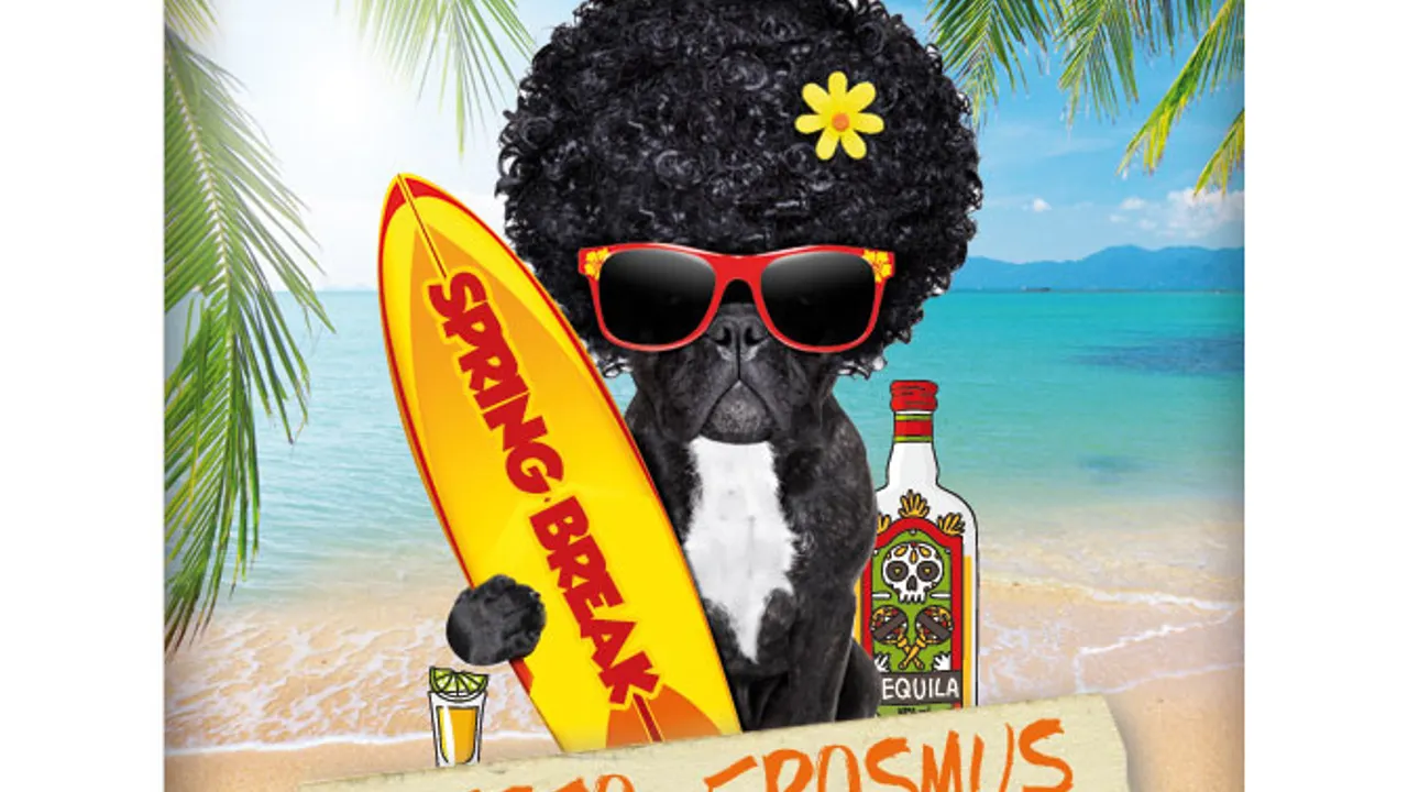 SPRING BREAK PARTY