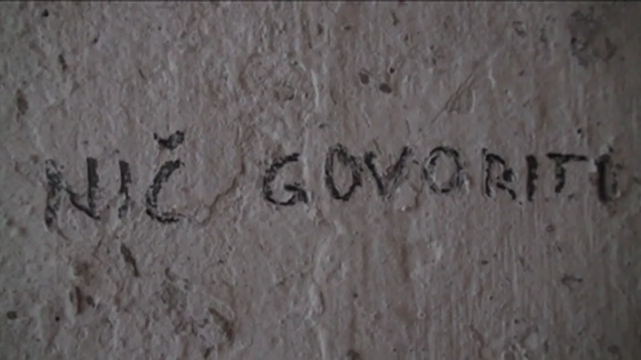 Nika Autor Satellite 7. Une proposition de Natasa Petresin-Bachelez